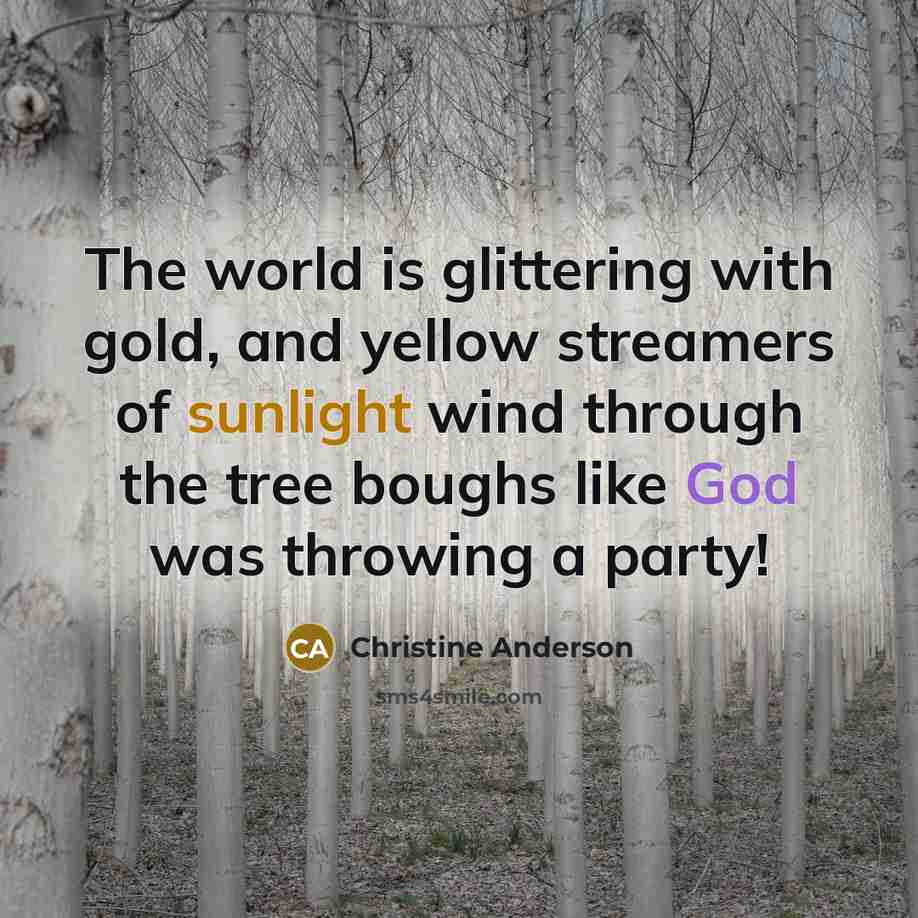 “The world is glittering with gold, and yellow streamers of sunlight wind through the tree boughs like God was throwing a party!” quote by Christine Anderson