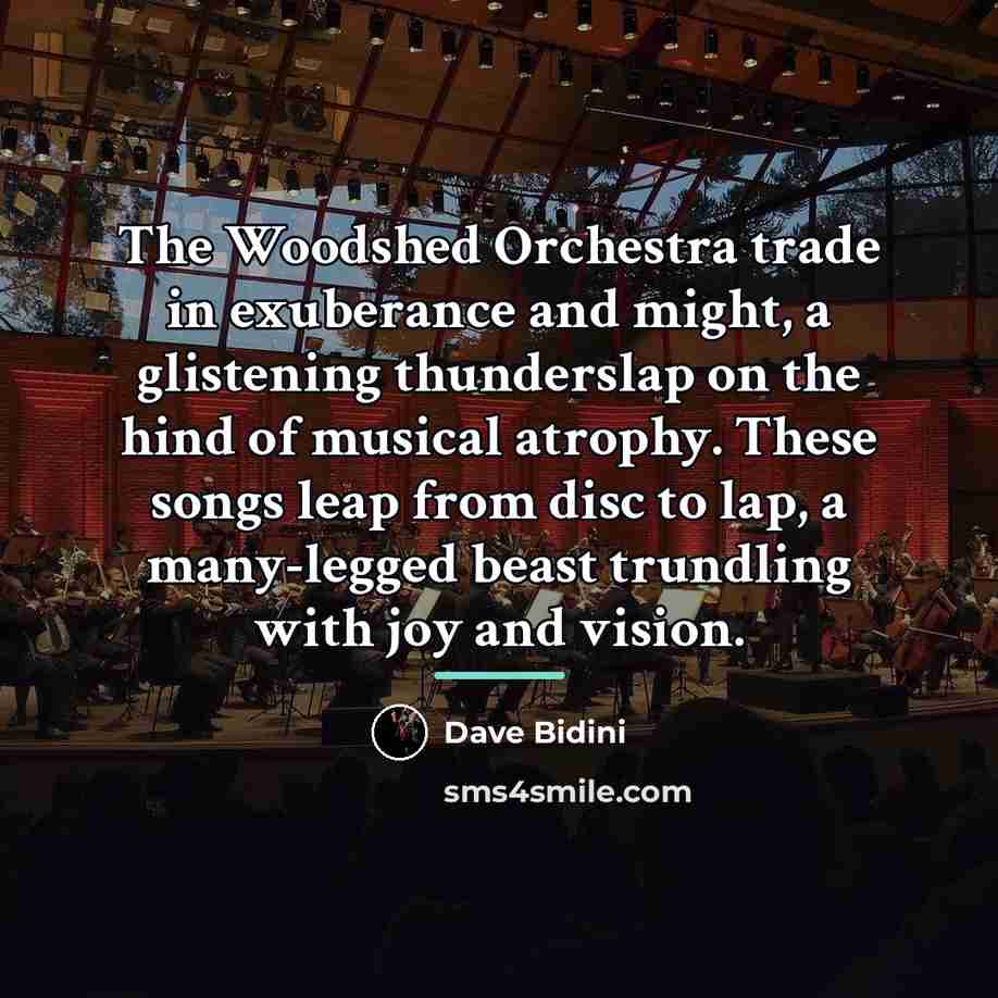 “The Woodshed Orchestra trade in exuberance and might, a glistening…” quote by Dave Bidini