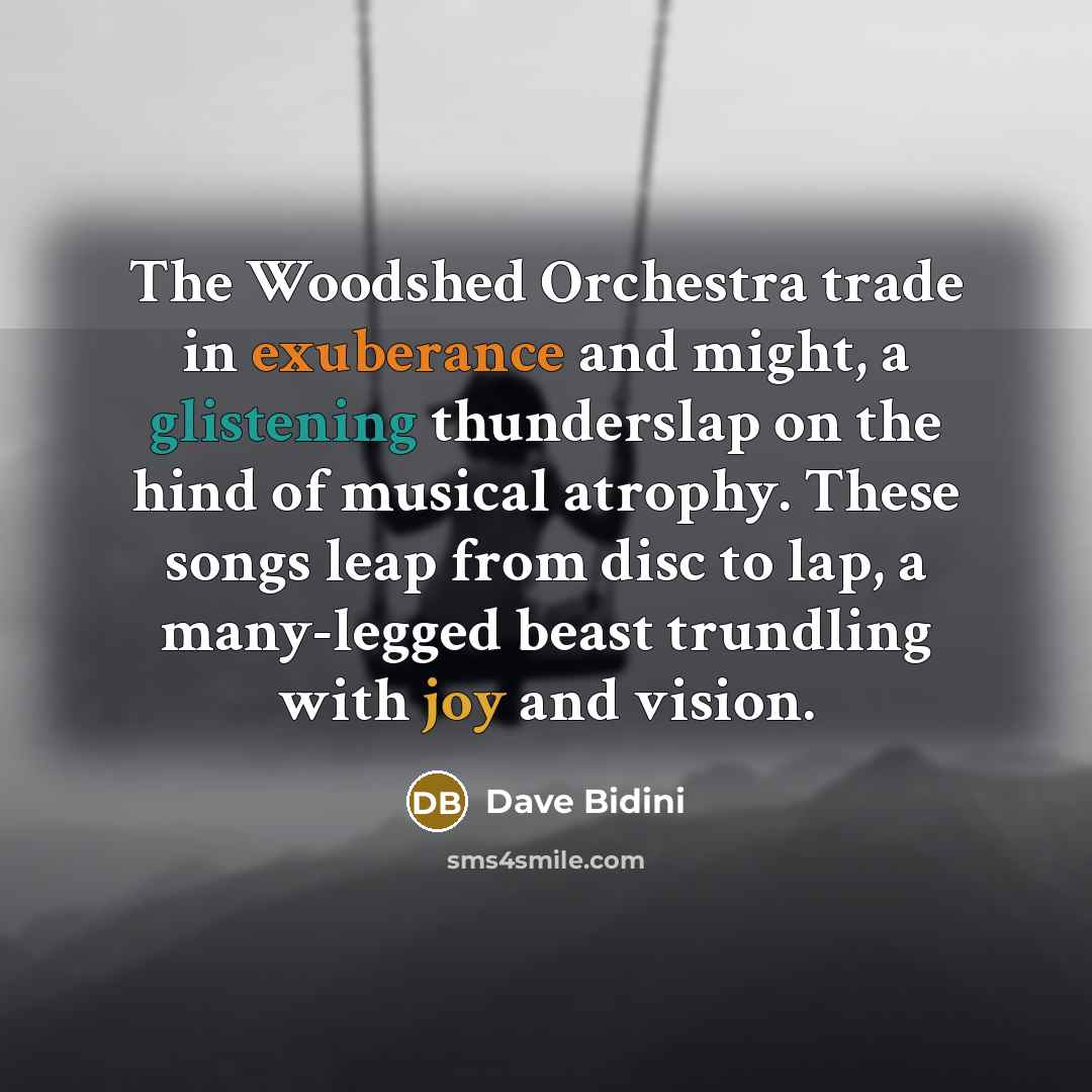 “The Woodshed Orchestra trade in exuberance and might, a glistening thunderslap on the hind of musical atrophy. These songs leap from disc to lap, a many-legged beast trundling with joy and vision.” quote by Dave Bidini