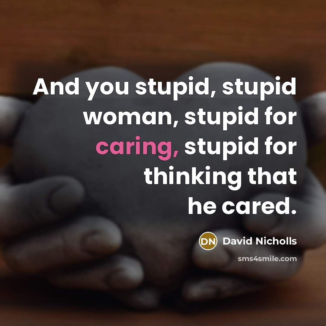 “And you stupid, stupid woman, stupid for caring, stupid for…” quote by David Nicholls