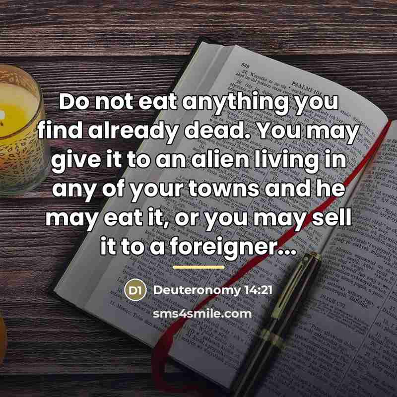 “Do not eat anything you find already dead. You may…” quote by Deuteronomy 14:21