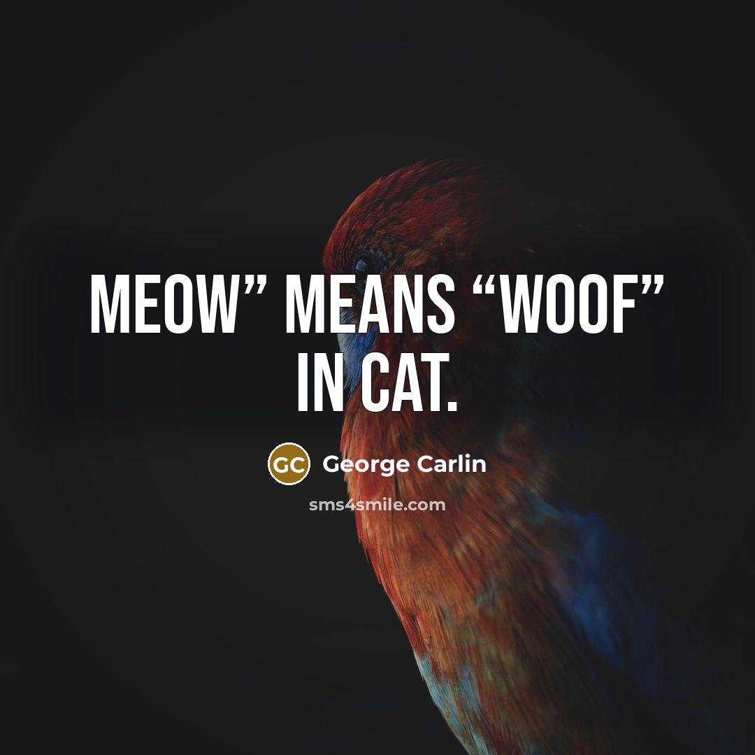 “Meow” means “woof” in cat.…” quote by George Carlin