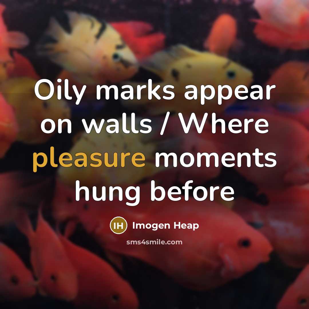 “Oily marks appear on walls / Where pleasure moments hung before” quote by Imogen Heap