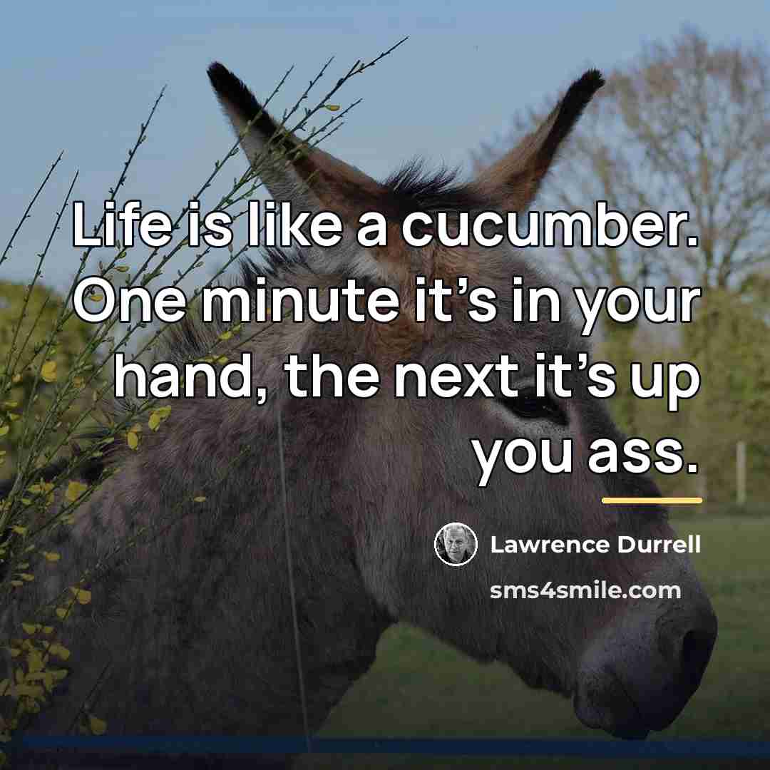 “Life is like a cucumber. One minute it's in your…” quote by Lawrence Durrell