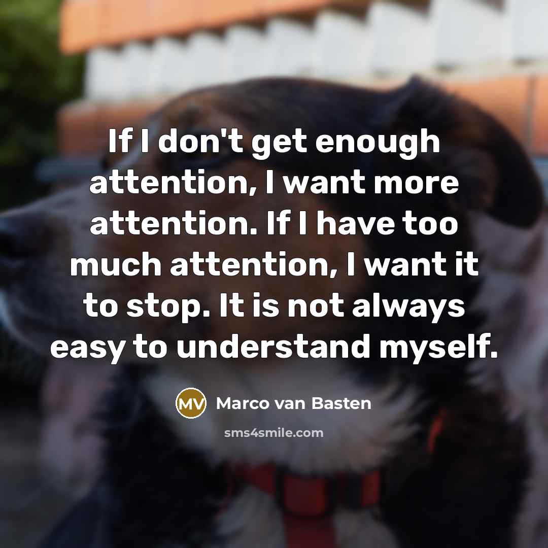 “If I don't get enough attention, I want more attention.…” quote by Marco van Basten