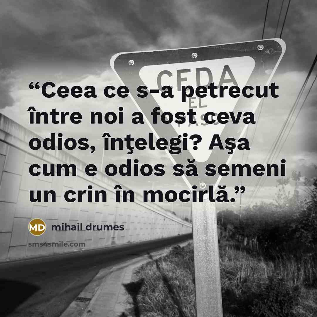 “Ceea ce s-a petrecut între noi a fost ceva odios, înţelegi? Aşa cum e odios să semeni un crin în mocirlă.” quote by Mihail Drumeş