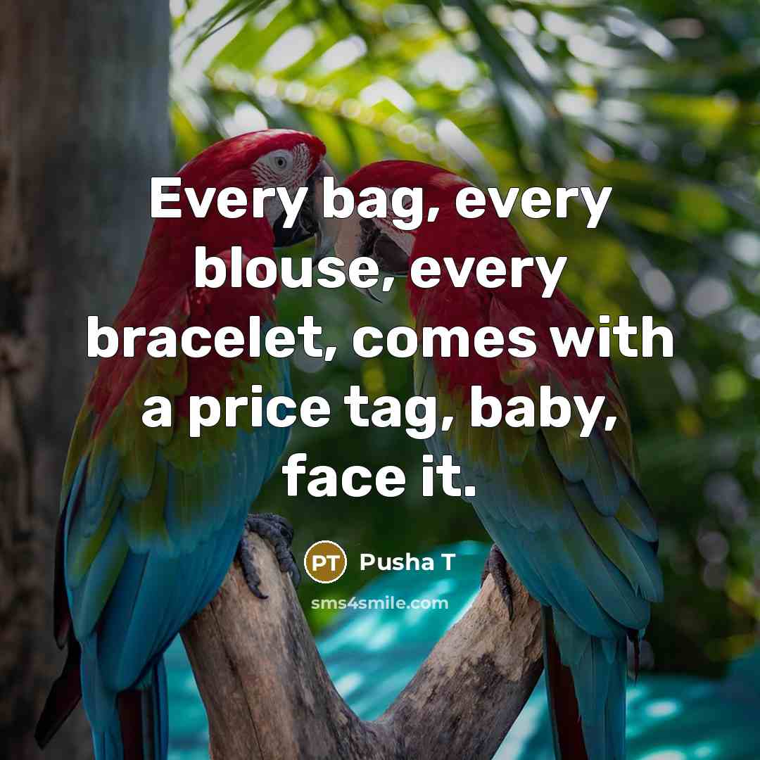 “Every bag, every blouse, every bracelet, comes with a price…” quote by Pusha T