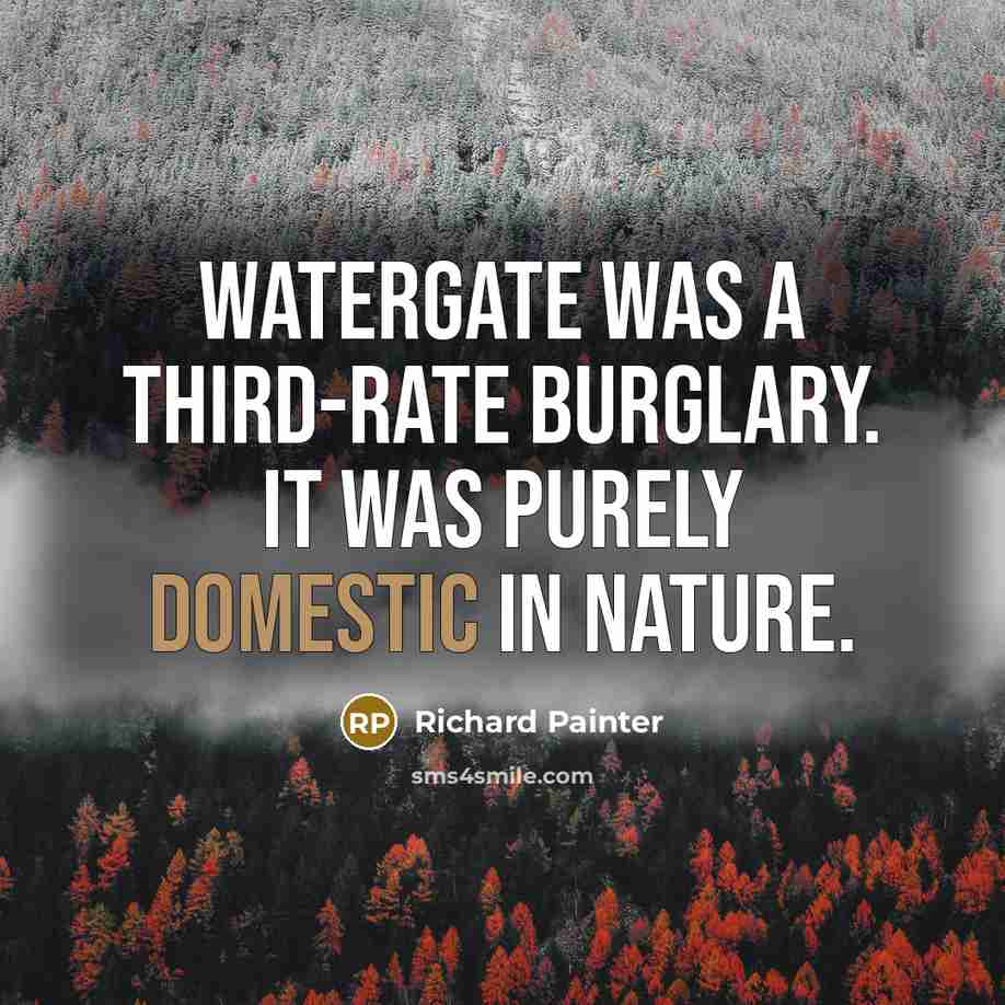 “Watergate was a third-rate burglary. It was purely domestic in nature.” quote by Richard Painter