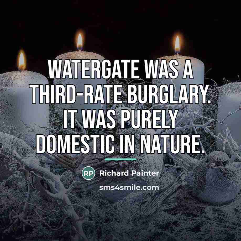 “Watergate was a third-rate burglary. It was purely domestic in…” quote by Richard Painter