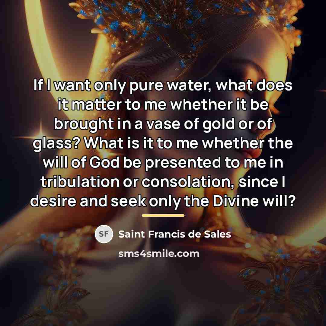“If I want only pure water, what does it matter…” quote by Saint Francis de Sales