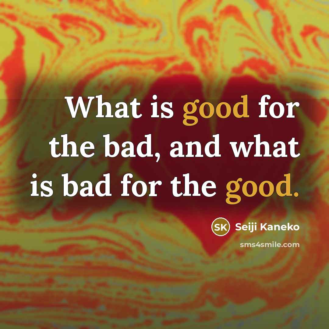 “What is good for the bad, and what is bad…” quote by Seiji Kaneko
