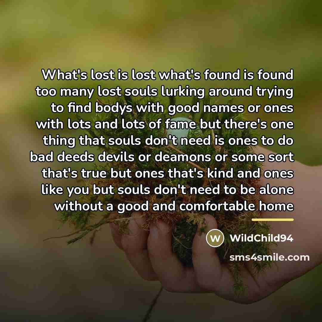 “What's lost is lost what's found is found too many…” quote by WildChild94
