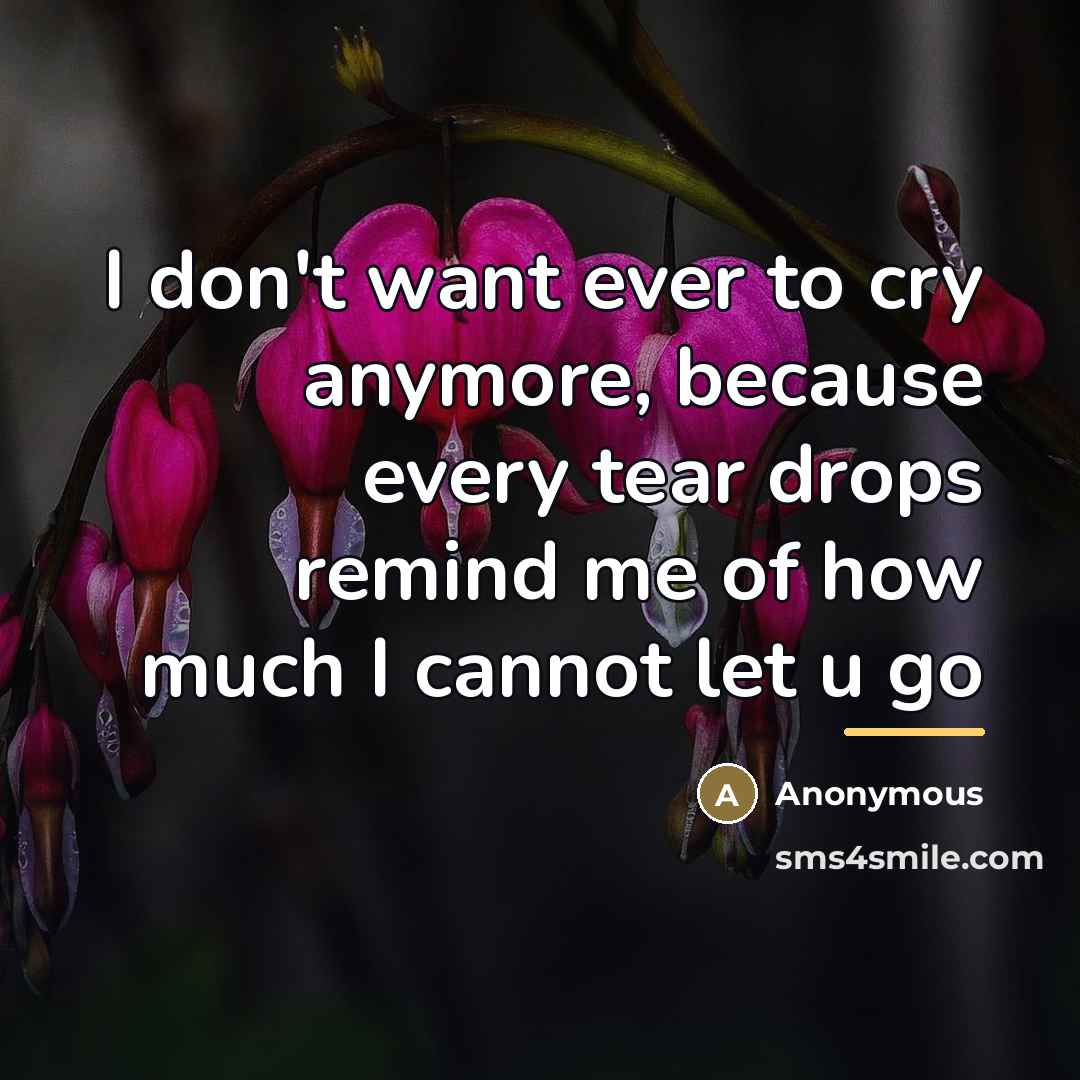 “I don't want ever to cry anymore, because every tear…” quote by Anonymous