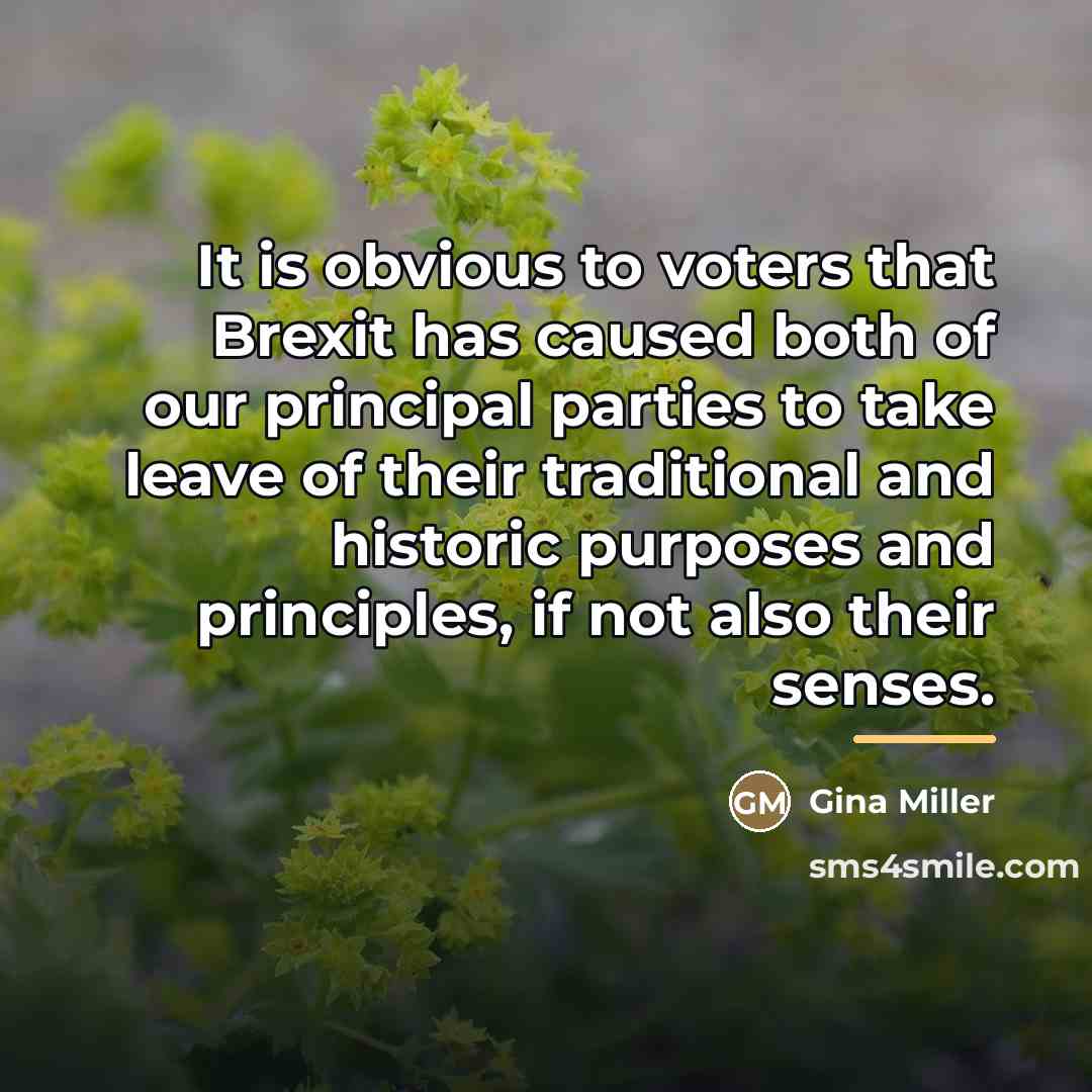 “It is obvious to voters that Brexit has caused both…” quote by Gina Miller