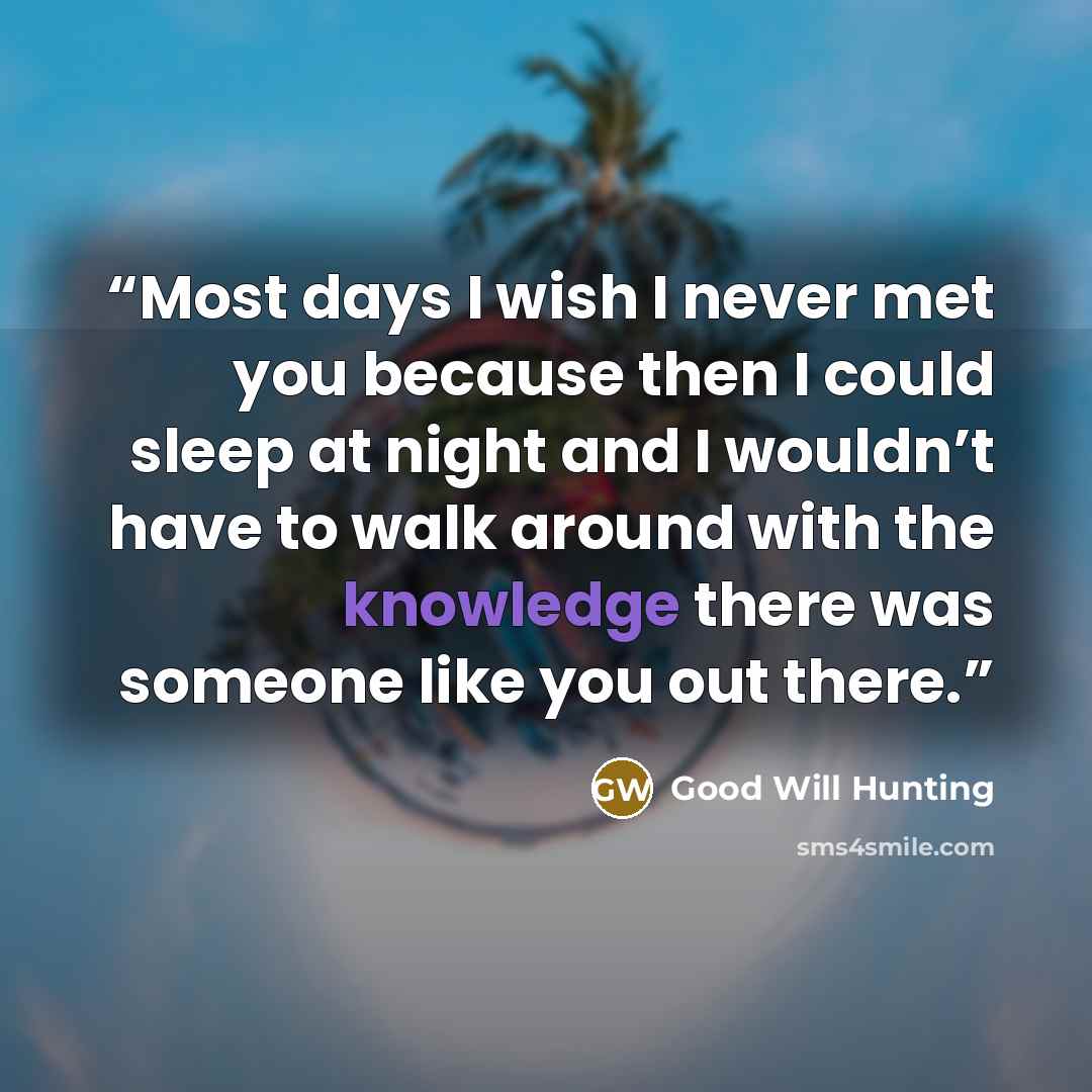 “Most days I wish I never met you because then I could sleep at night and I wouldn’t have to walk around with the knowledge there was someone like you out there.” quote by Good Will Hunting