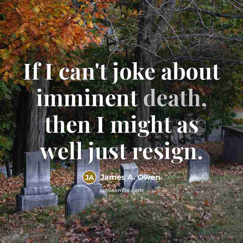 “If I can't joke about imminent death, then I might…” quote by James A. Owen