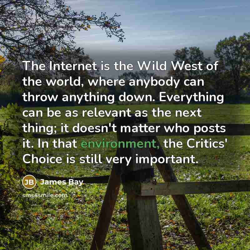 “The Internet is the Wild West of the world, where…” quote by James Bay