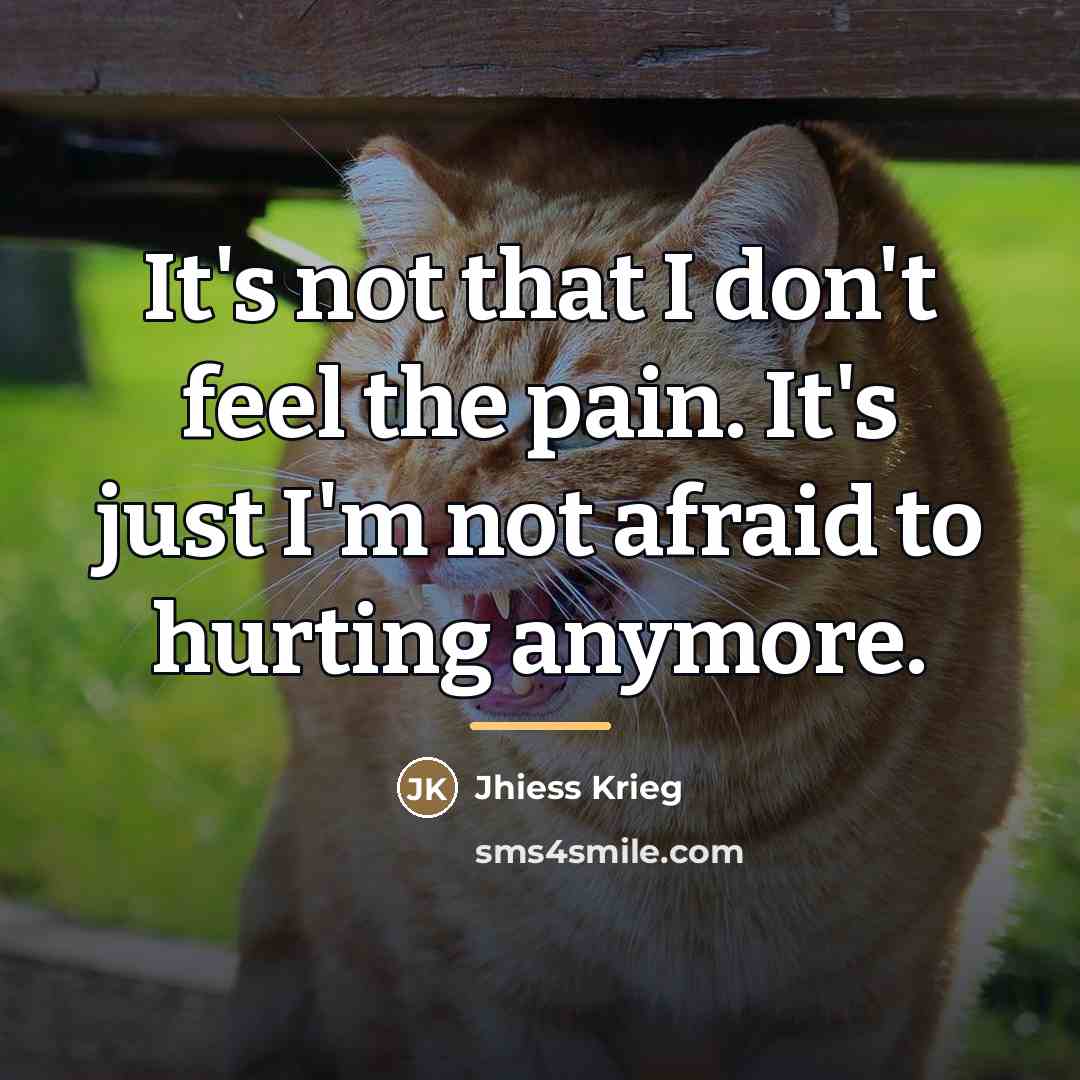 “It's not that I don't feel the pain. It's just…” quote by Jhiess Krieg