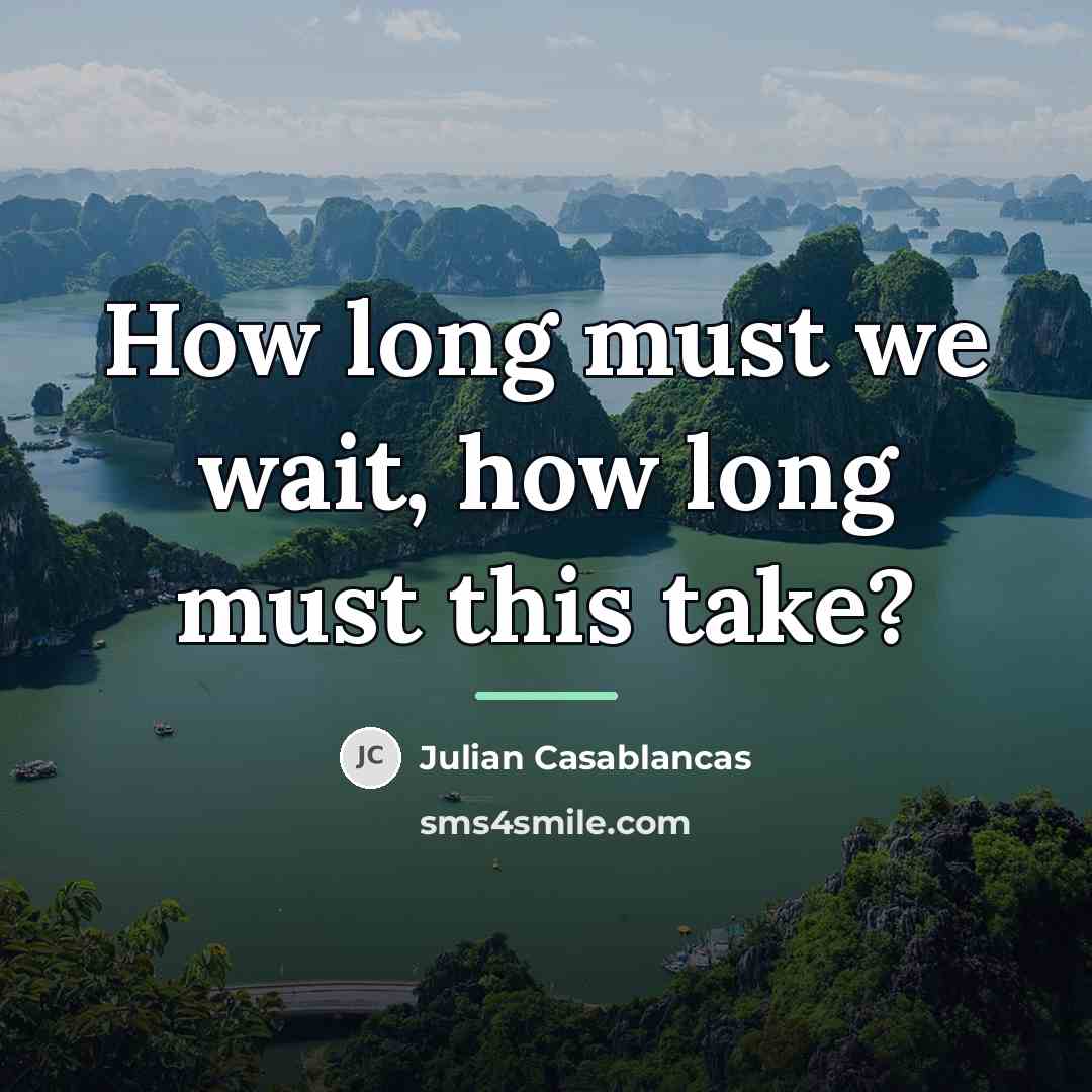 “How long must we wait, how long must this take?…” quote by Julian Casablancas