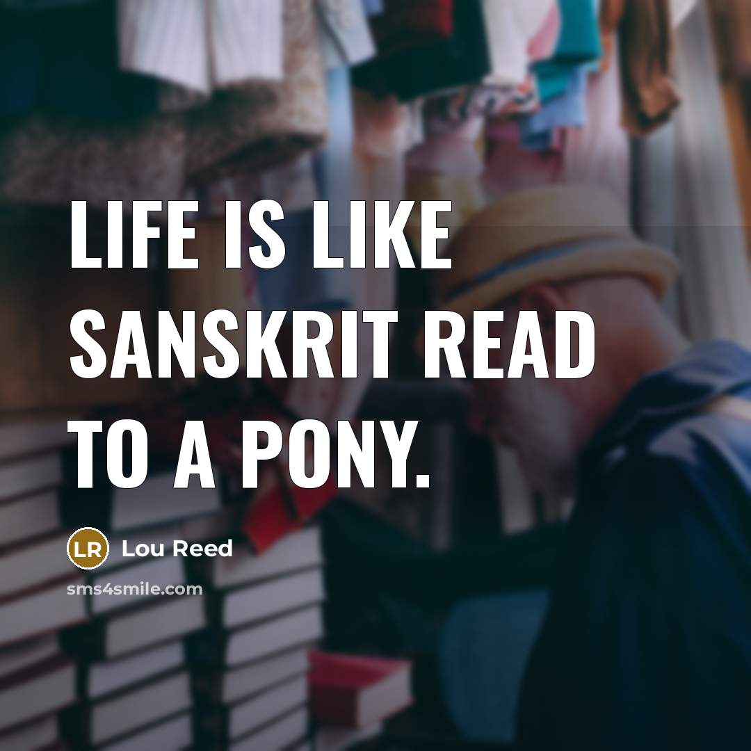 “Life is like Sanskrit read to a pony.…” quote by Lou Reed