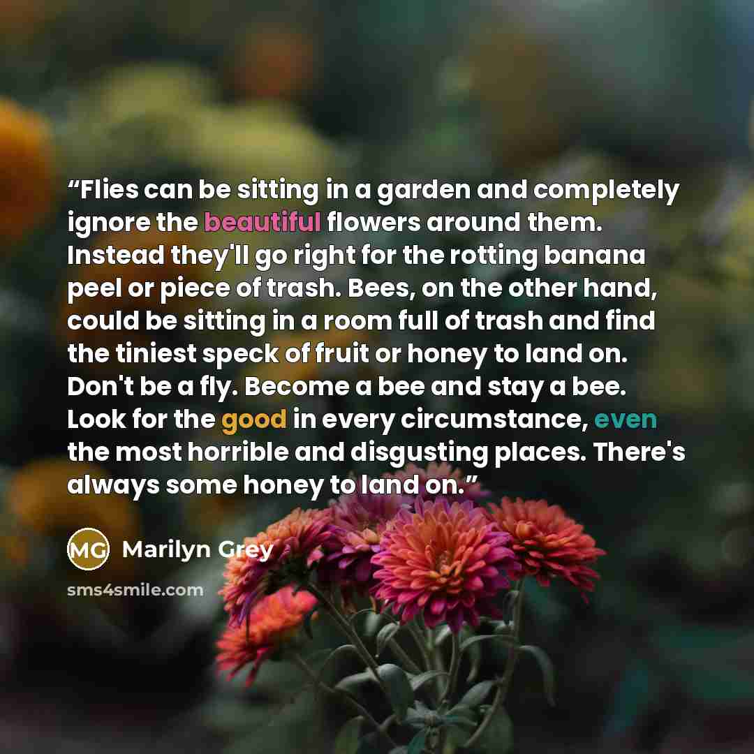 “Flies can be sitting in a garden and completely ignore the beautiful flowers around them. Instead they'll go right for the rotting banana peel or piece of trash. Bees, on the other hand, could be sitting in a room full of trash and find the tiniest speck of fruit or honey to land on. Don't be a…” quote by Marilyn Grey