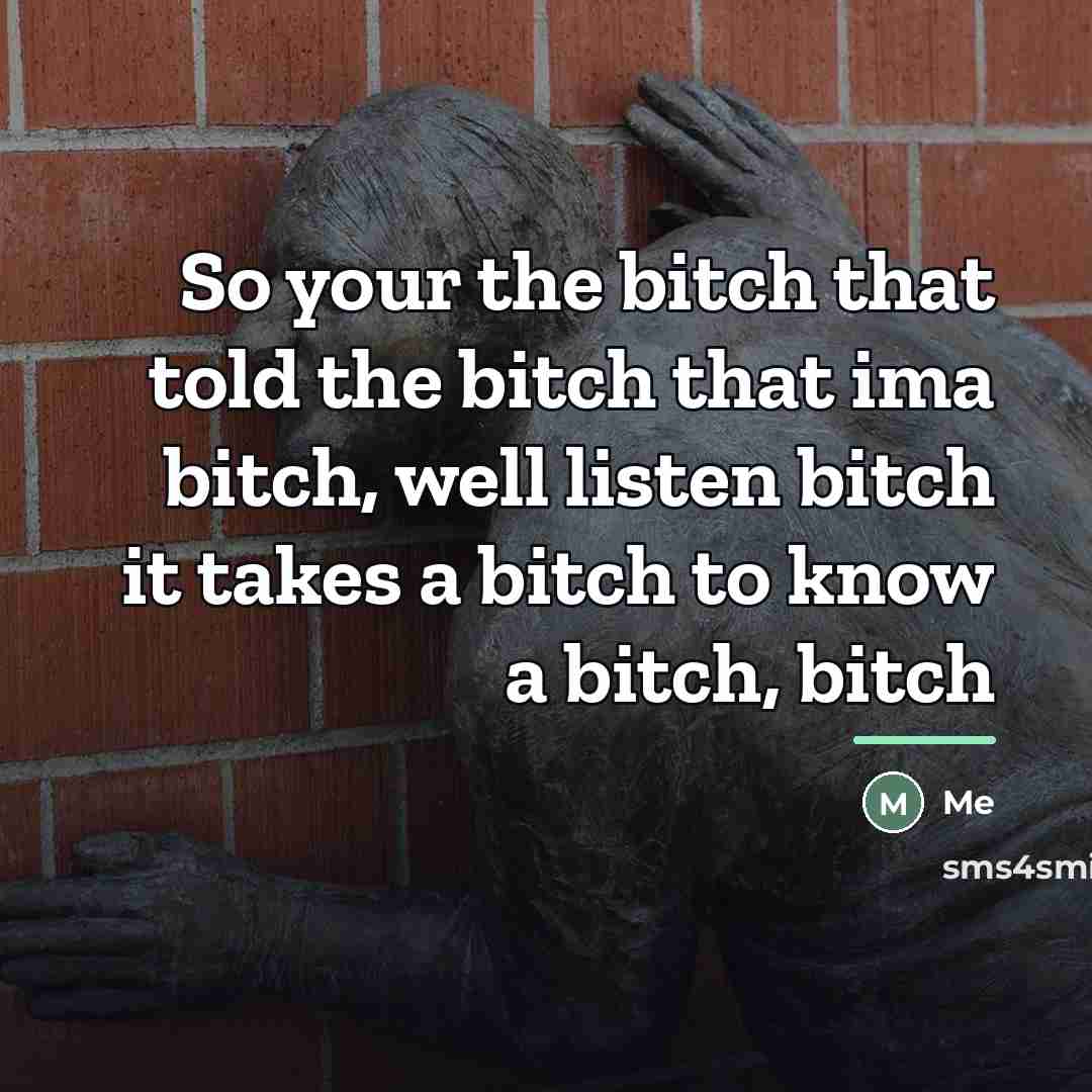 “So your the bitch that told the bitch that ima…” quote by Me