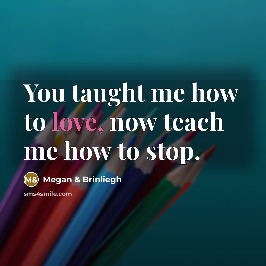 “You taught me how to love, now teach me how to stop.” quote by Megan & Brinliegh