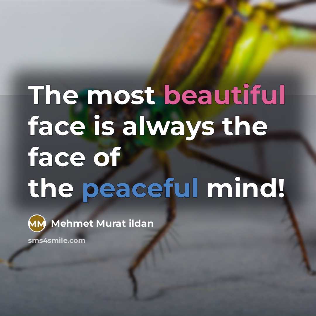 “The most beautiful face is always the face of the…” quote by Mehmet Murat Ildan