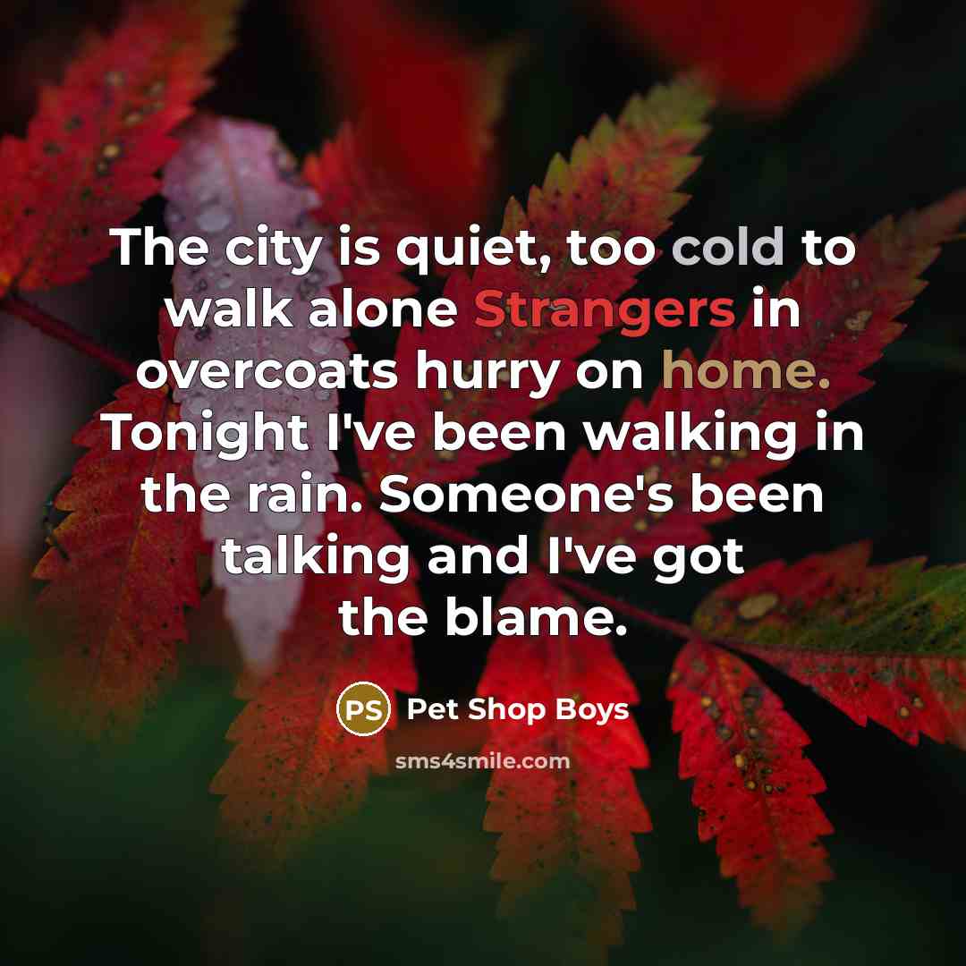 “The city is quiet, too cold to walk alone Strangers…” quote by Pet Shop Boys