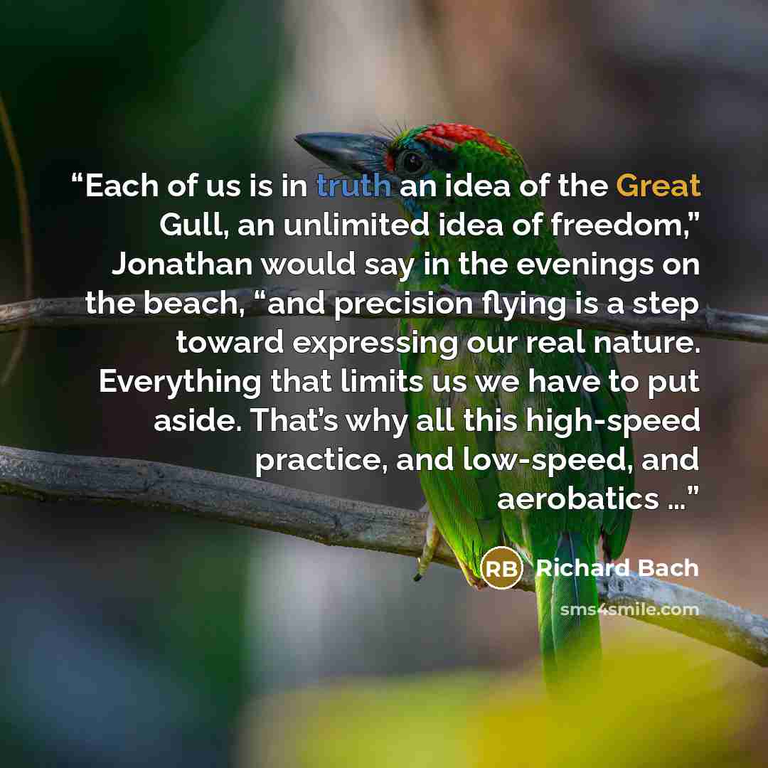 “Each of us is in truth an idea of the Great Gull, an unlimited idea of freedom,” Jonathan would say in the evenings on the beach, “and precision flying is a step toward expressing our real nature. Everything that limits us we have to put aside. That’s why all this high-speed practice, and…” quote by Richard Bach