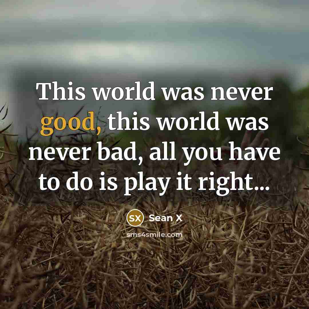 “This world was never good, this world was never bad, all you have to do is play it right...” quote by Sean X