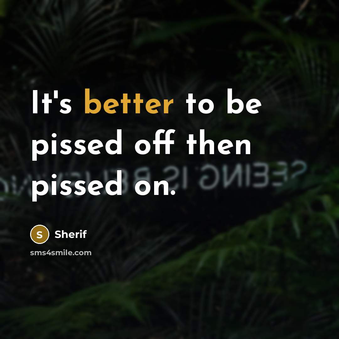 “It's better to be pissed off then pissed on.” quote by Sherif