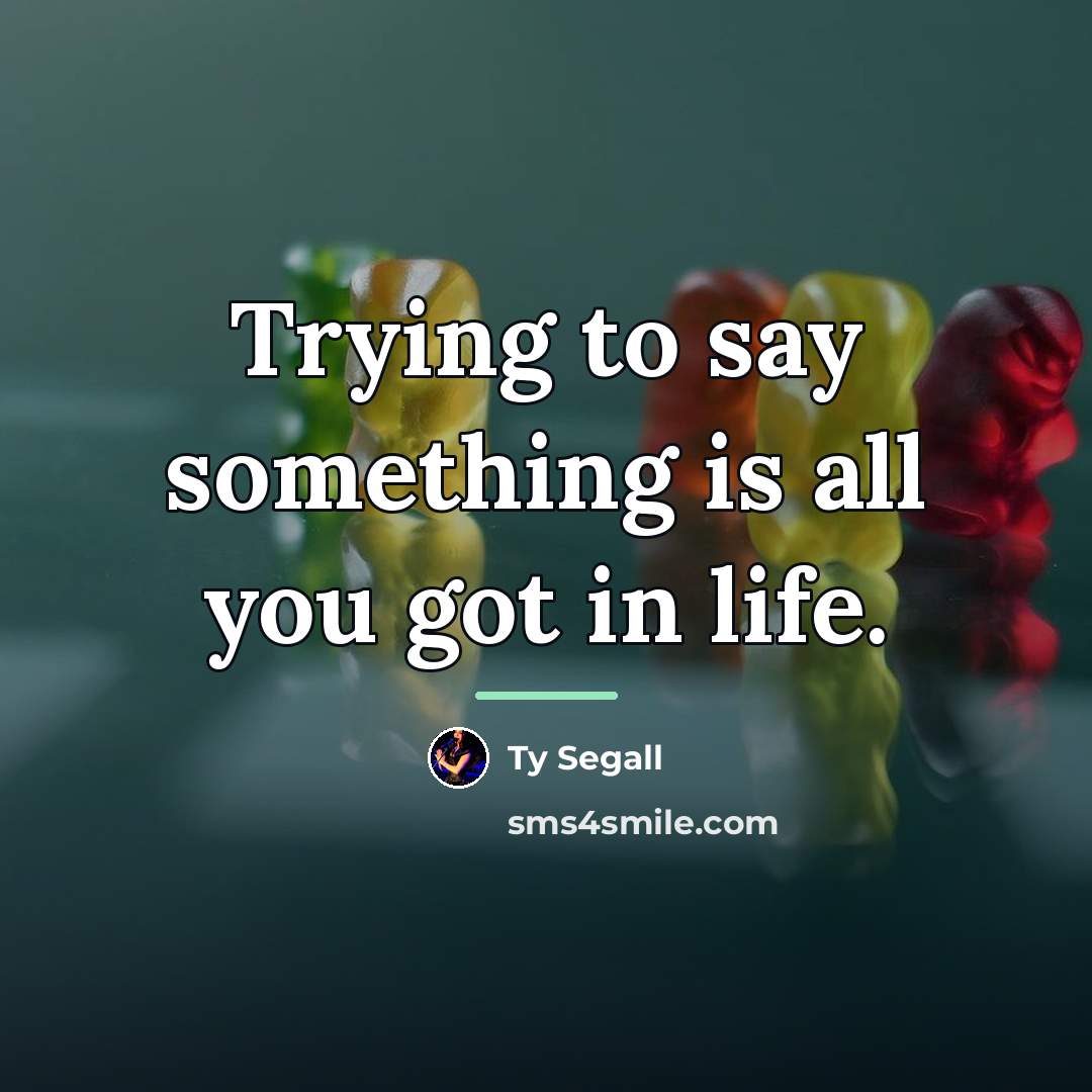 “Trying to say something is all you got in life.…” quote by Ty Segall
