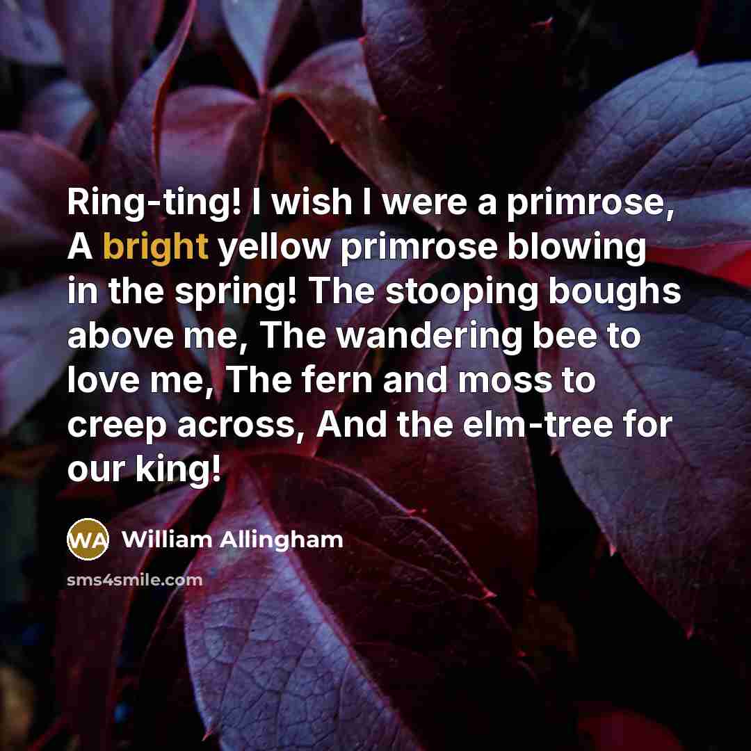“Ring-ting! I wish I were a primrose, A bright yellow…” quote by William Allingham