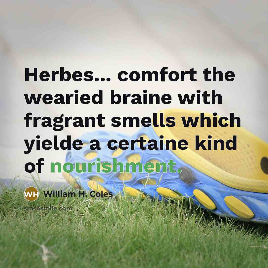 “Herbes... comfort the wearied braine with fragrant smells which yielde…” quote by William H. Coles