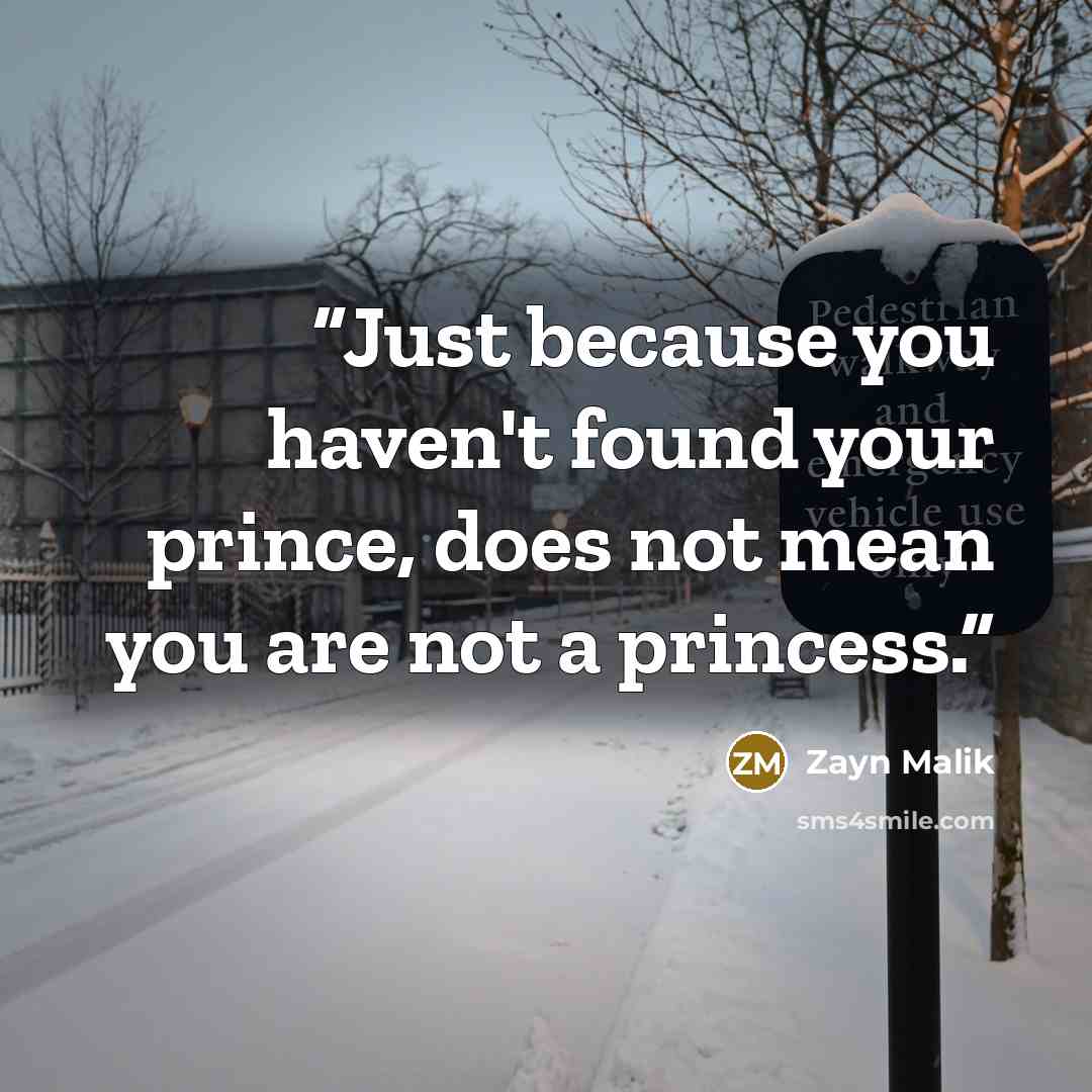 “Just because you haven't found your prince, does not mean you are not a princess.” quote by Zayn Malik