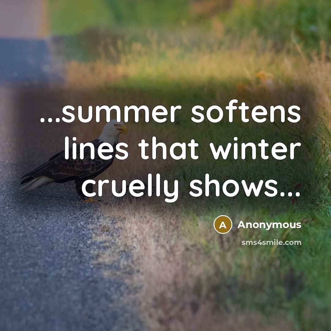 “...summer softens lines that winter cruelly shows...” quote by Anonymous
