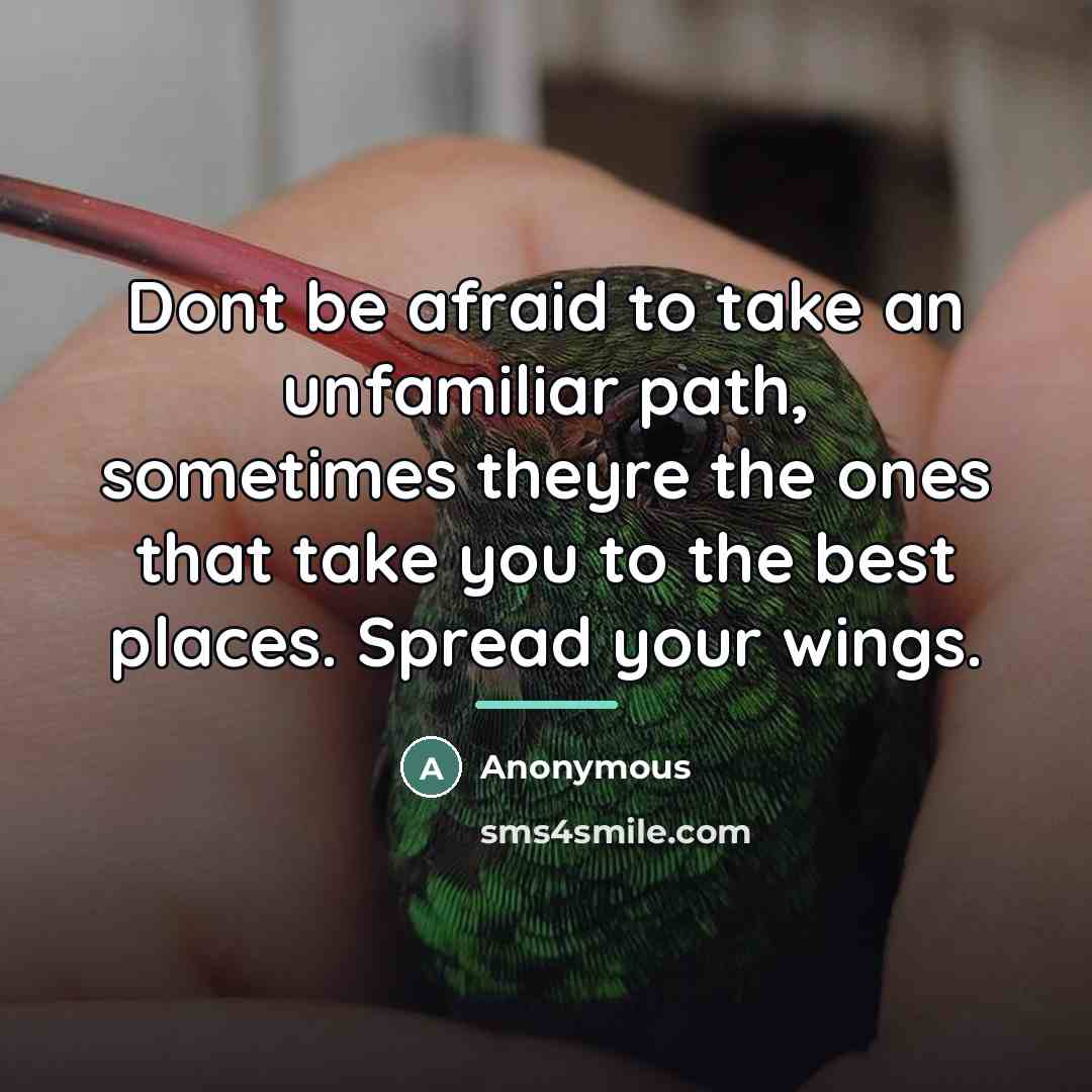 “Dont be afraid to take an unfamiliar path, sometimes theyre…” quote by Anonymous