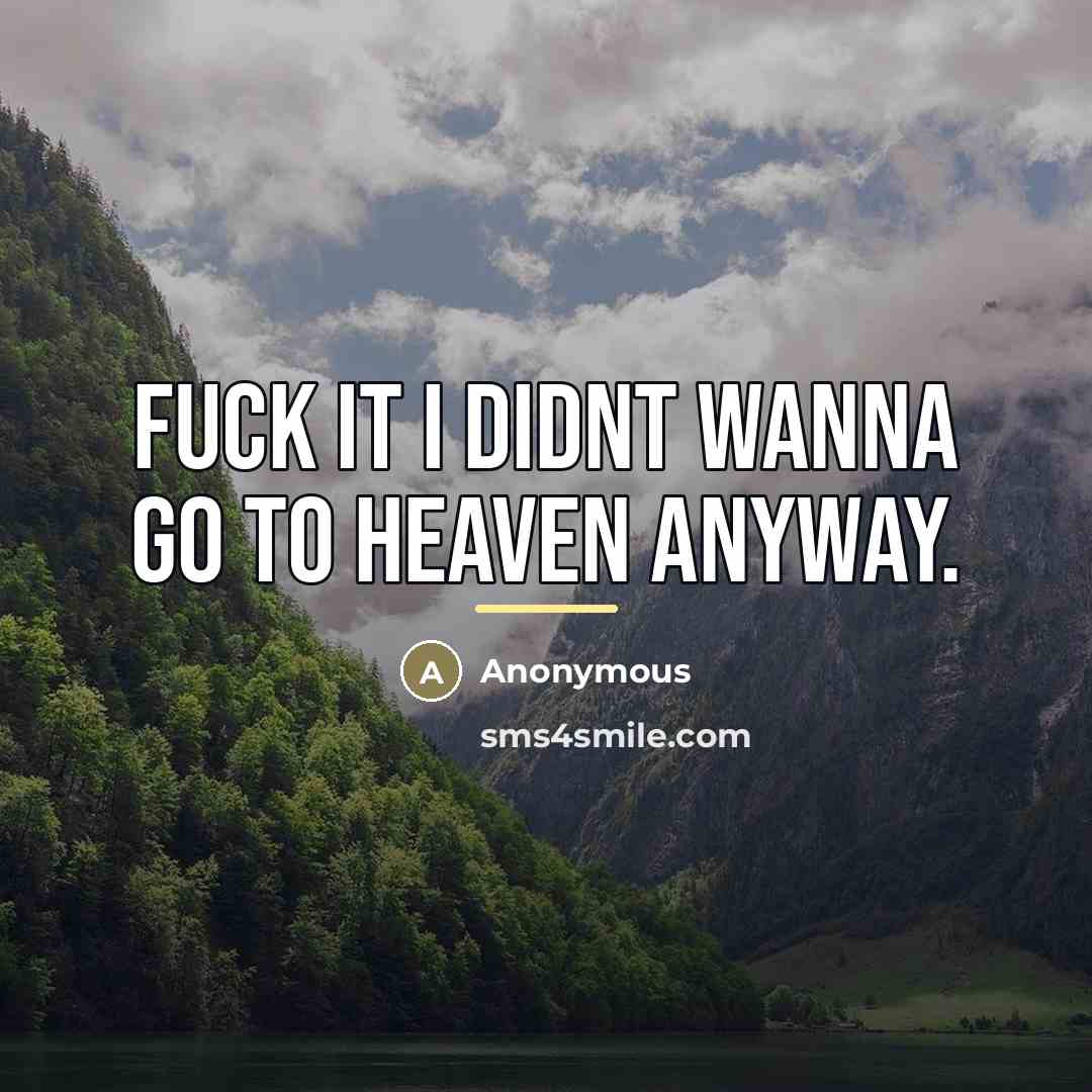 “Fuck it I didnt wanna go to heaven anyway.…” quote by Anonymous