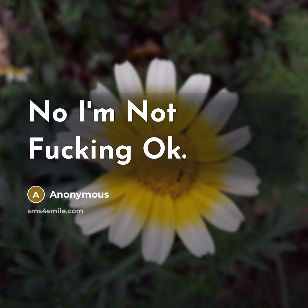“No I'm Not Fucking Ok.” quote by Anonymous