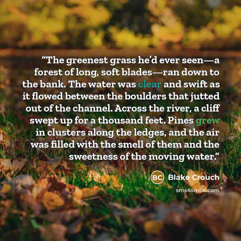“The greenest grass he’d ever seen—a forest of long, soft blades—ran down to the bank. The water was clear and swift as it flowed between the boulders that jutted out of the channel. Across the river, a cliff swept up for a thousand feet. Pines grew in clusters along the ledges, and the air was…” quote by Blake Crouch