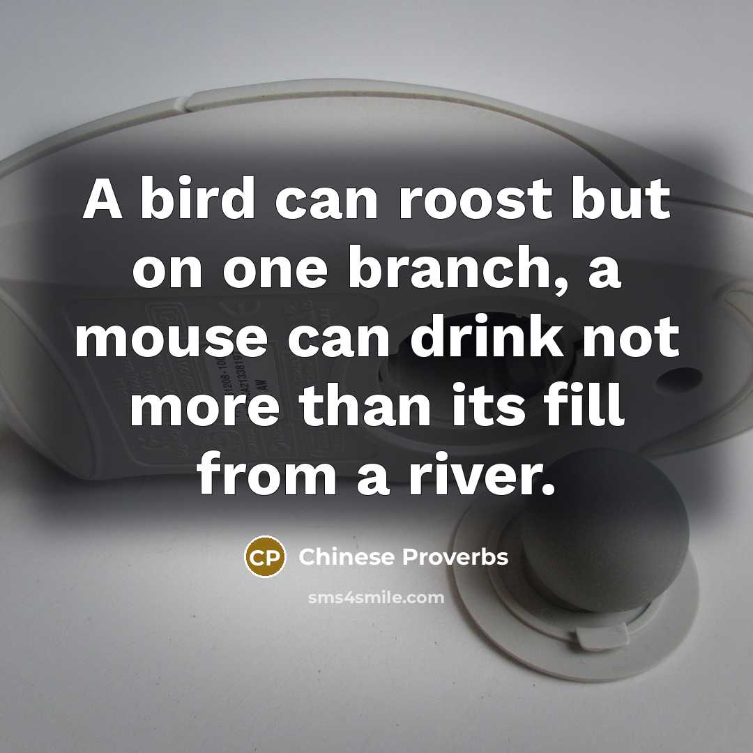 “A bird can roost but on one branch, a mouse can drink not more than its fill from a river.” quote by Chinese Proverbs