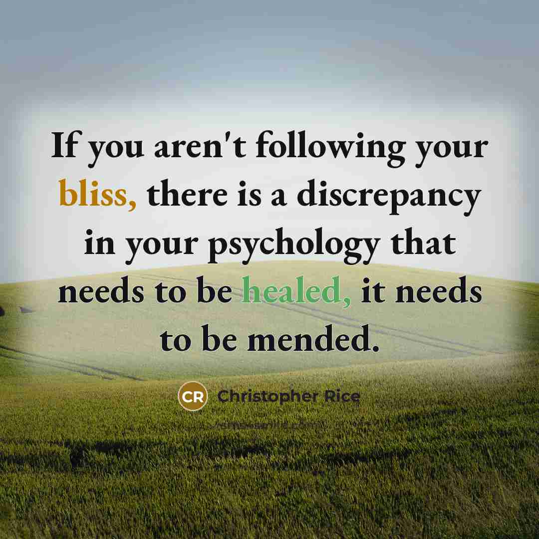 “If you aren't following your bliss, there is a discrepancy…” quote by Christopher Rice