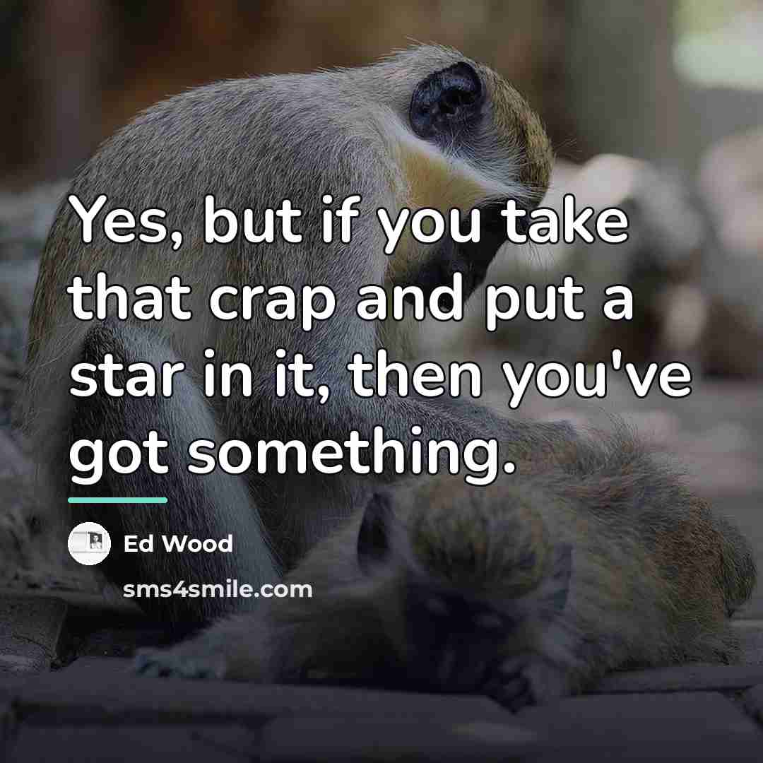“Yes, but if you take that crap and put a…” quote by Ed Wood