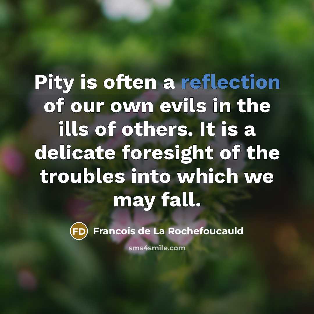 “Pity is often a reflection of our own evils in…” quote by Francois de La Rochefoucauld
