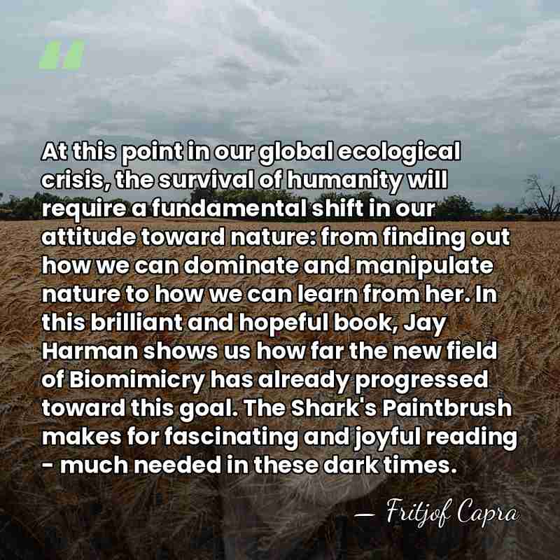 At this point in our global ecological crisis, the survival of humanity&hellip; - Fritjof Capra