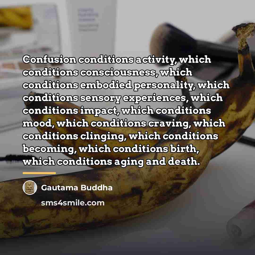 “Confusion conditions activity, which conditions consciousness, which conditions embodied personality,…” quote by Gautama Buddha