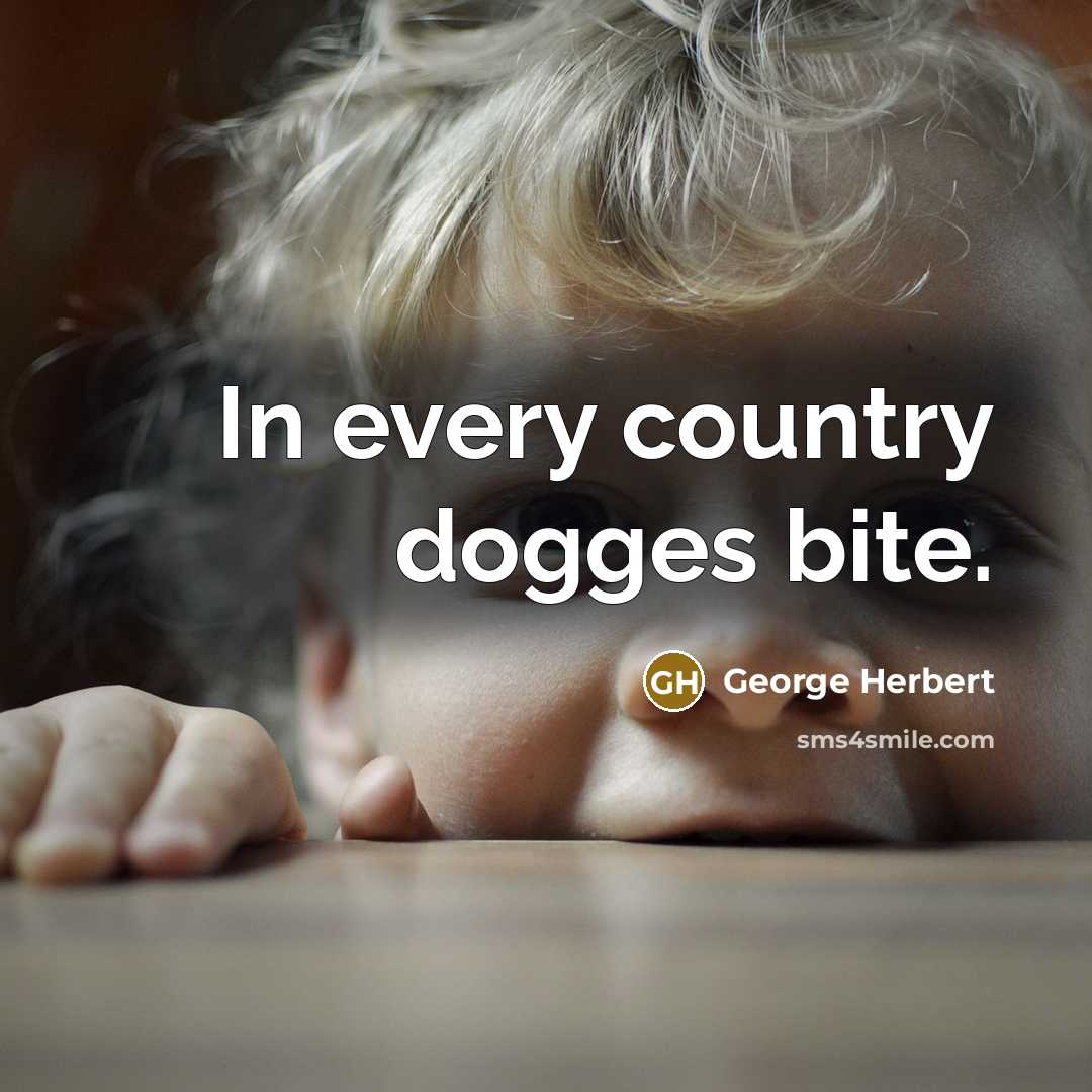 “In every country dogges bite.…” quote by George Herbert