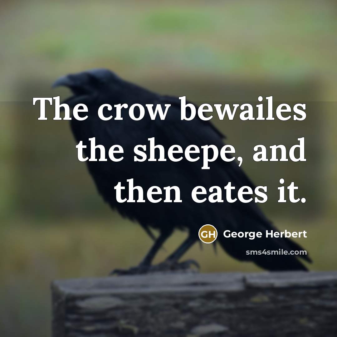 “The crow bewailes the sheepe, and then eates it.…” quote by George Herbert