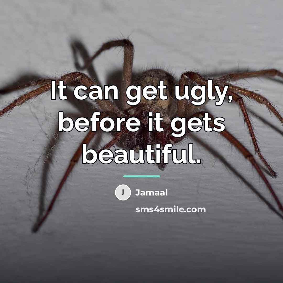 “It can get ugly, before it gets beautiful.…” quote by Jamaal